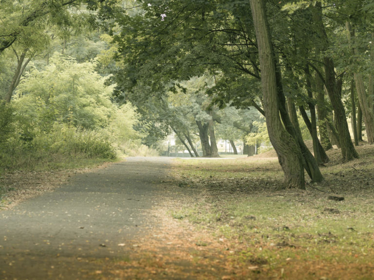 Image 248: Nature walk.min