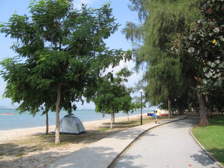 Changi Beach Park | The Bus Collective