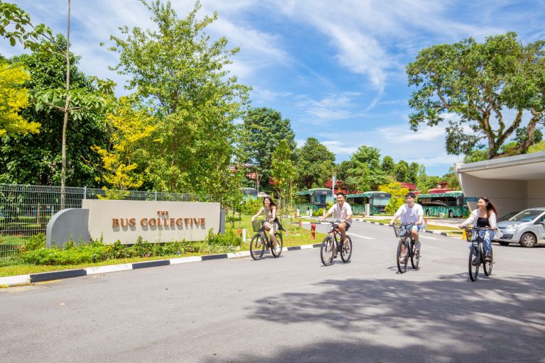 Gift Vouchers | The Bus Collective