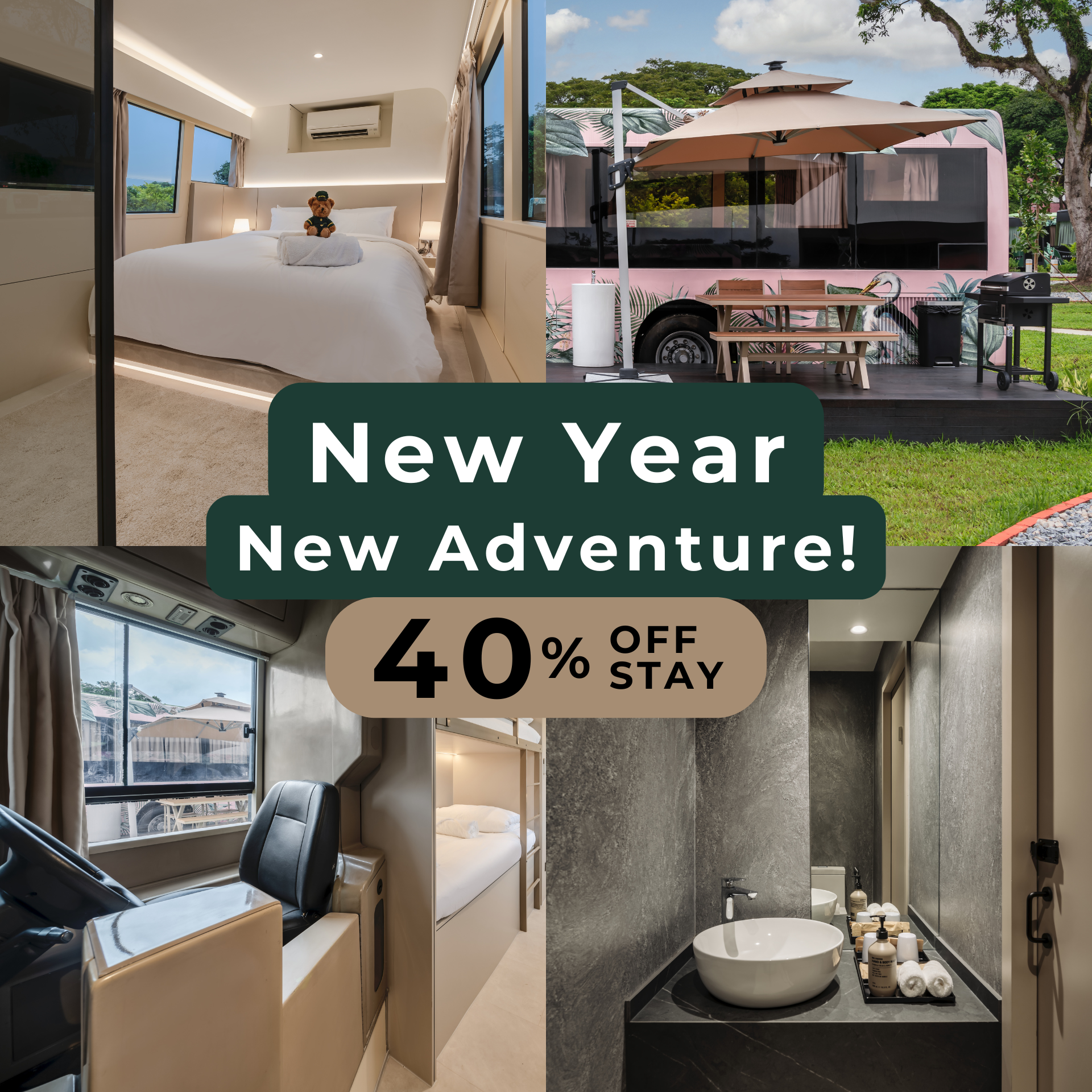 Image 259: New Year, New Adventure